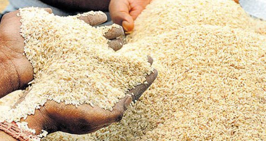 मुचुगाउँका स्थानीयलाई कुहिएको डल्लैडल्ला परेको चामल बिक्री