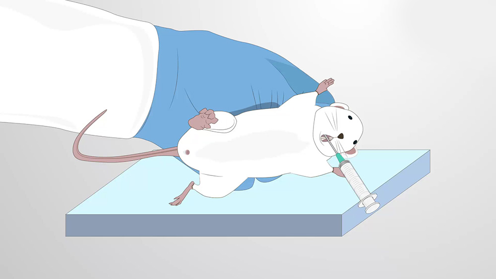 मुसामा गरिएको क्यान्सरविरुद्धको खोपको प्रयोगमा ठुलो सफलता