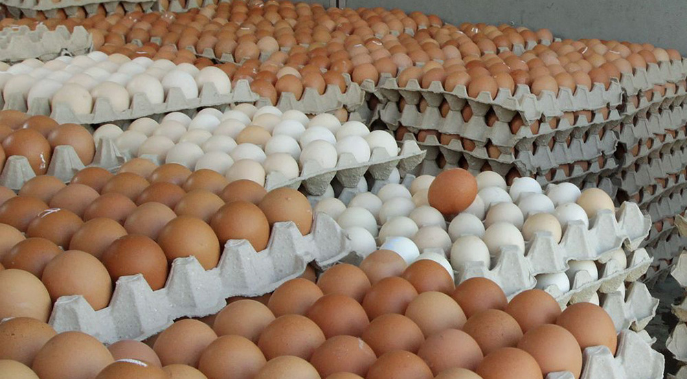 आजदेखि लागू हुनेगरी अण्डाको मूल्यमा वृद्धि