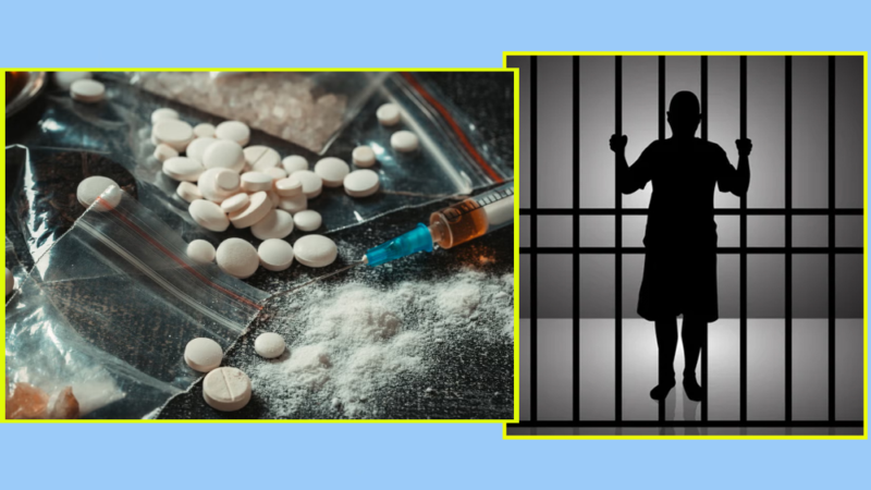 अवैध लागूऔषधसहित झापा र सुर्खेतबाट दुई जना पक्राउ