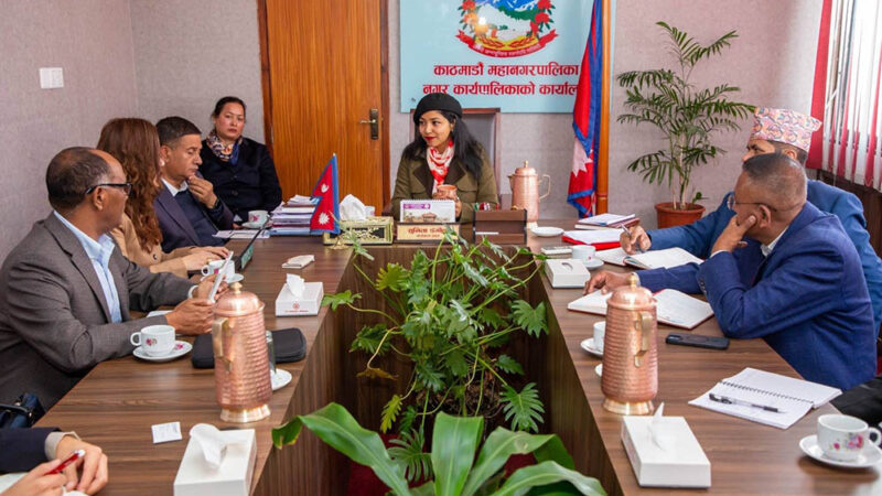 महानगरको सार्वजनिक यातायात सुधारका विषयमा विज्ञहरुसँग छलफल