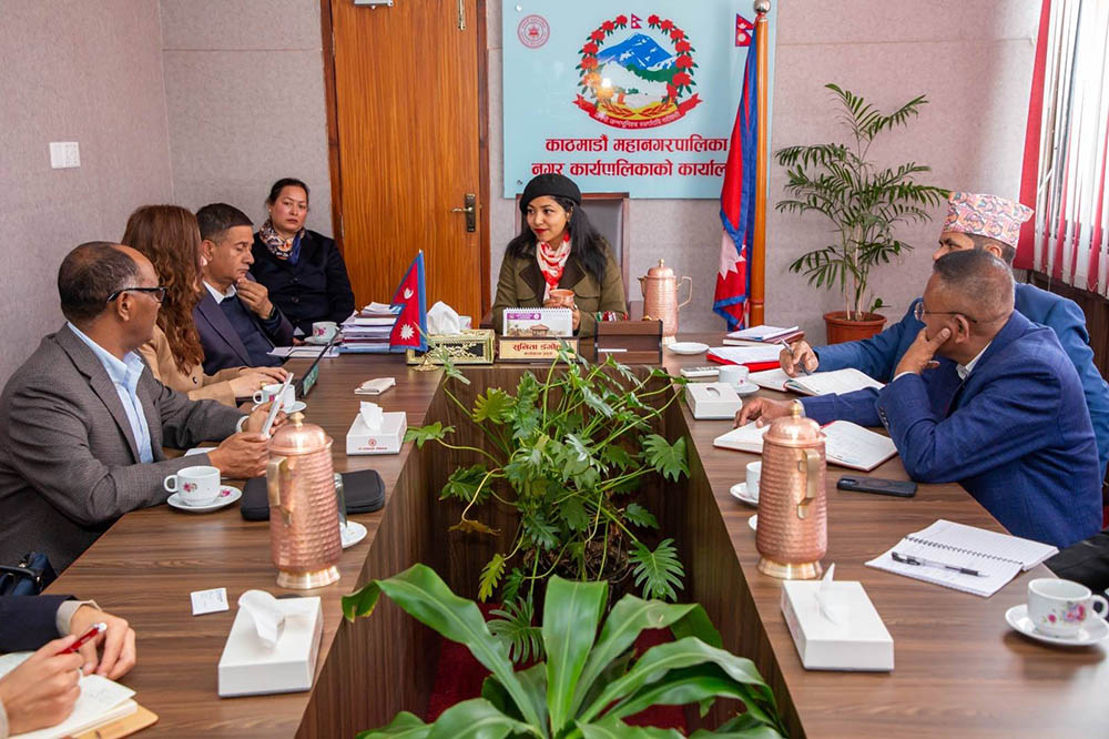 महानगरको सार्वजनिक यातायात सुधारका विषयमा विज्ञहरुसँग छलफल
