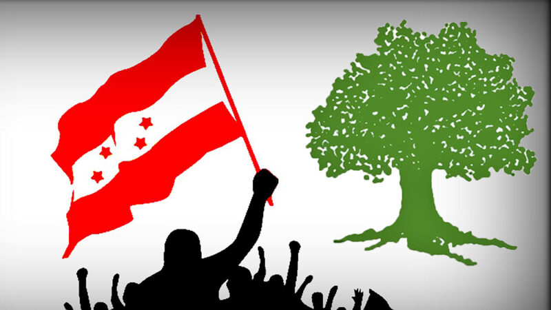 काँग्रेसले जितेका १७ सिट कुन कुन हुन् ?