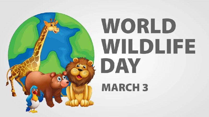 आज विश्व वन्यजन्तु दिवस मनाइदैं