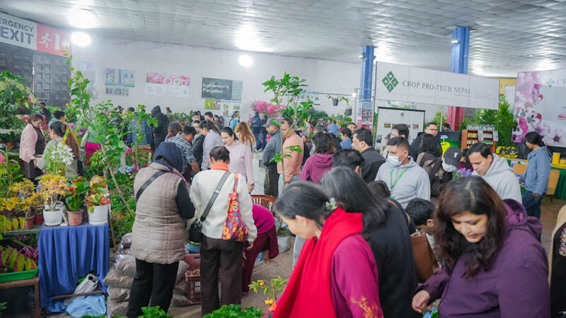 फ्लोरा एक्स्पोमा दर्शकको आकर्षण, शनिबार मात्र २१ हजारले गरे अवलोकन